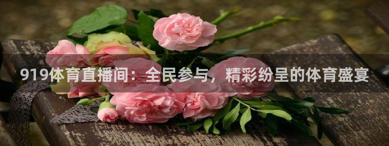 919体育直播间：全民参与，精彩纷呈的体育盛宴