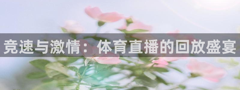 竞速与激情：体育直播的回放盛宴